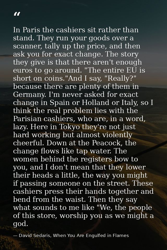 In Paris the cashiers sit rather than stand. They run your goods over a scanner, tally up the price, and then ask you fo — David Sedaris, When You Are Engulfed in Flames