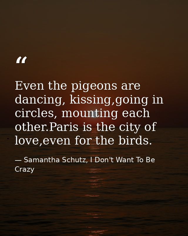 Even the pigeons are dancing, kissing,going in circles, mounting each other.Paris is the city of love,even for the birds — Samantha Schutz, I Don't Want To Be Crazy