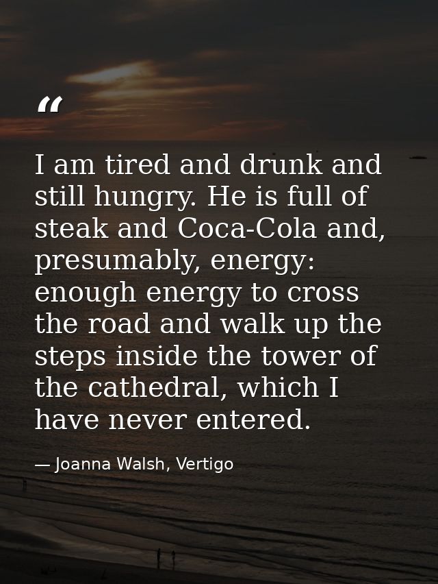 I am tired and drunk and still hungry. He is full of steak and Coca-Cola and, presumably, energy: enough energy to cross — Joanna Walsh, Vertigo