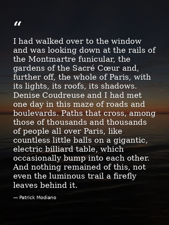 I had walked over to the window and was looking down at the rails of the Montmartre funicular, the gardens of the Sacré  — Patrick Modiano