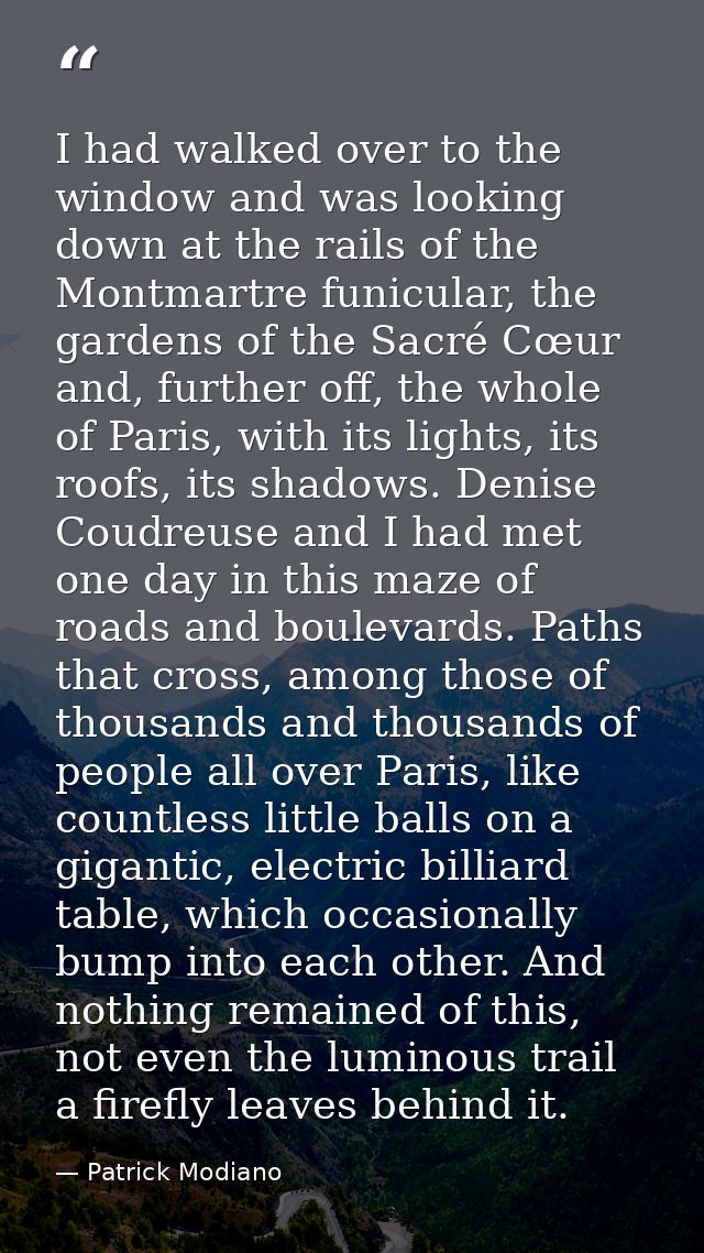 I had walked over to the window and was looking down at the rails of the Montmartre funicular, the gardens of the Sacré  — Patrick Modiano
