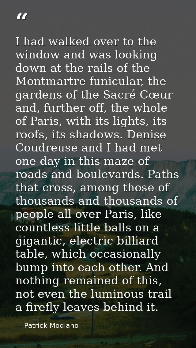 I had walked over to the window and was looking down at the rails of the Montmartre funicular, the gardens of the Sacré  — Patrick Modiano