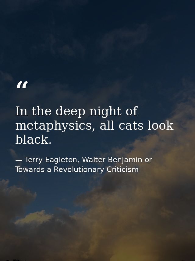 In the deep night of metaphysics, all cats look black. — Terry Eagleton, Walter Benjamin or Towards a Revolutionary Criticism