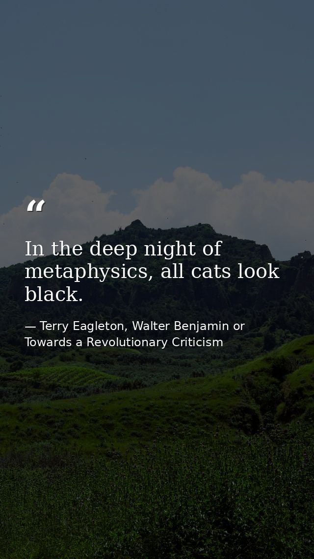 In the deep night of metaphysics, all cats look black. — Terry Eagleton, Walter Benjamin or Towards a Revolutionary Criticism