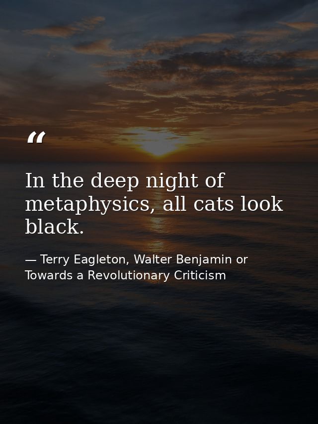 In the deep night of metaphysics, all cats look black. — Terry Eagleton, Walter Benjamin or Towards a Revolutionary Criticism