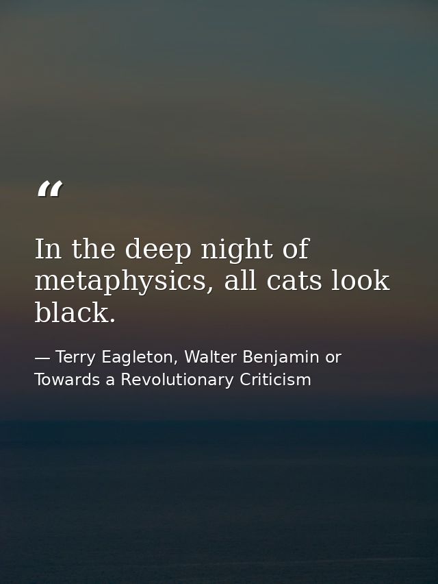 In the deep night of metaphysics, all cats look black. — Terry Eagleton, Walter Benjamin or Towards a Revolutionary Criticism