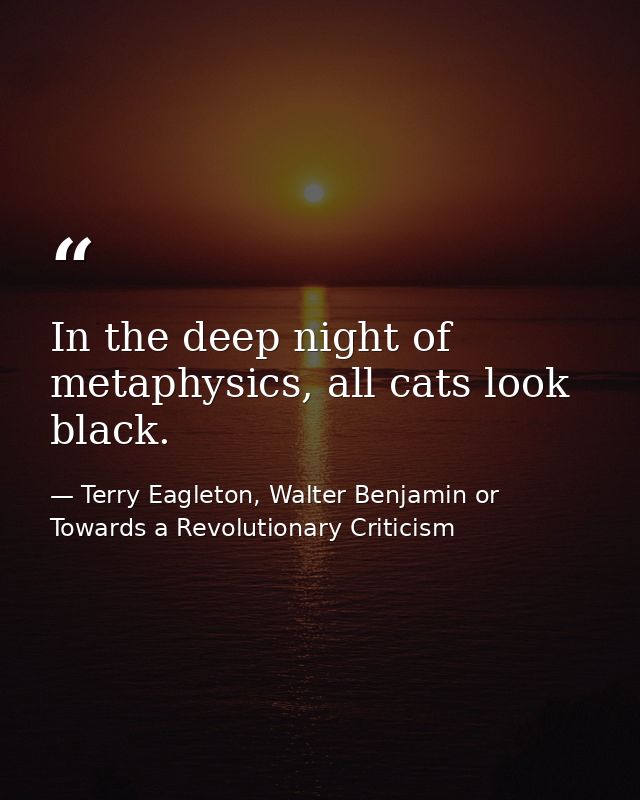 In the deep night of metaphysics, all cats look black. — Terry Eagleton, Walter Benjamin or Towards a Revolutionary Criticism