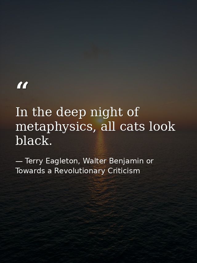 In the deep night of metaphysics, all cats look black. — Terry Eagleton, Walter Benjamin or Towards a Revolutionary Criticism