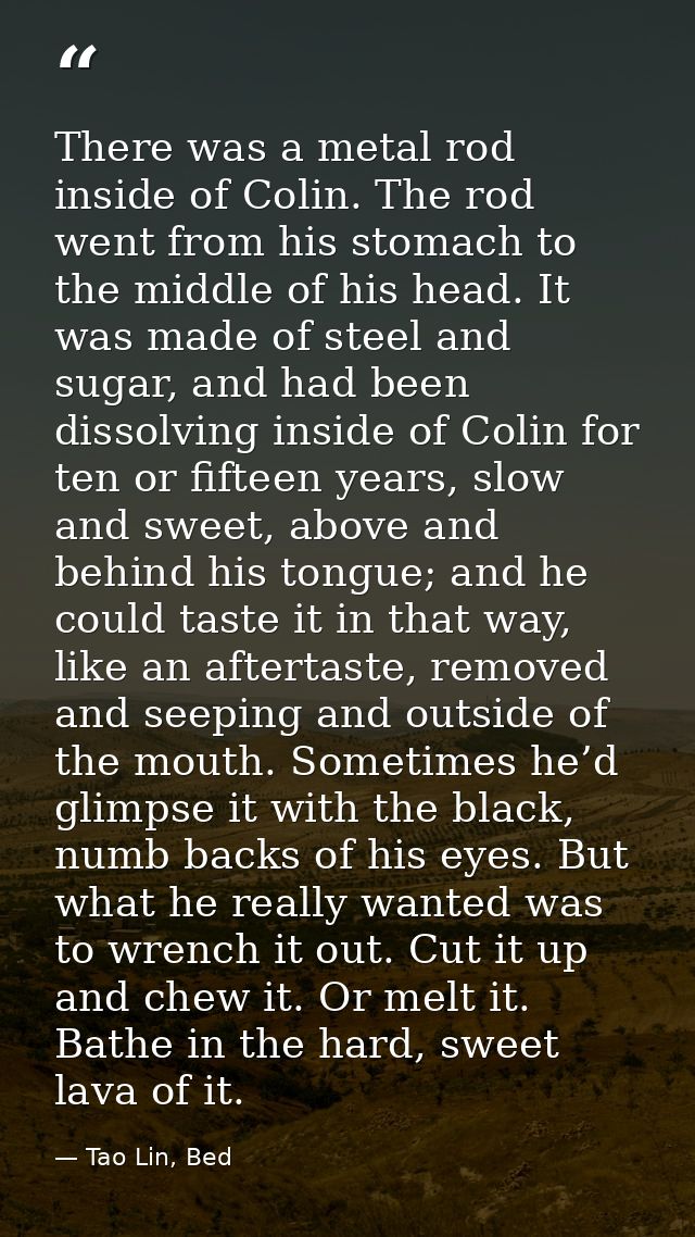There was a metal rod inside of Colin. The rod went from his stomach to the middle of his head. It was made of steel and — Tao Lin, Bed