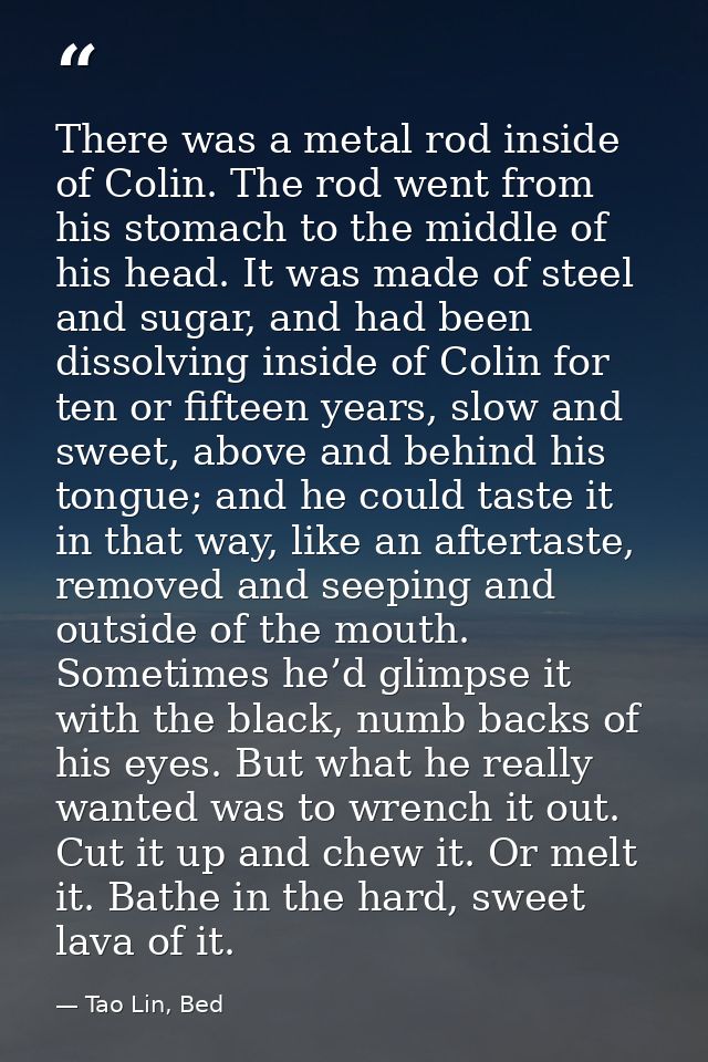 There was a metal rod inside of Colin. The rod went from his stomach to the middle of his head. It was made of steel and — Tao Lin, Bed