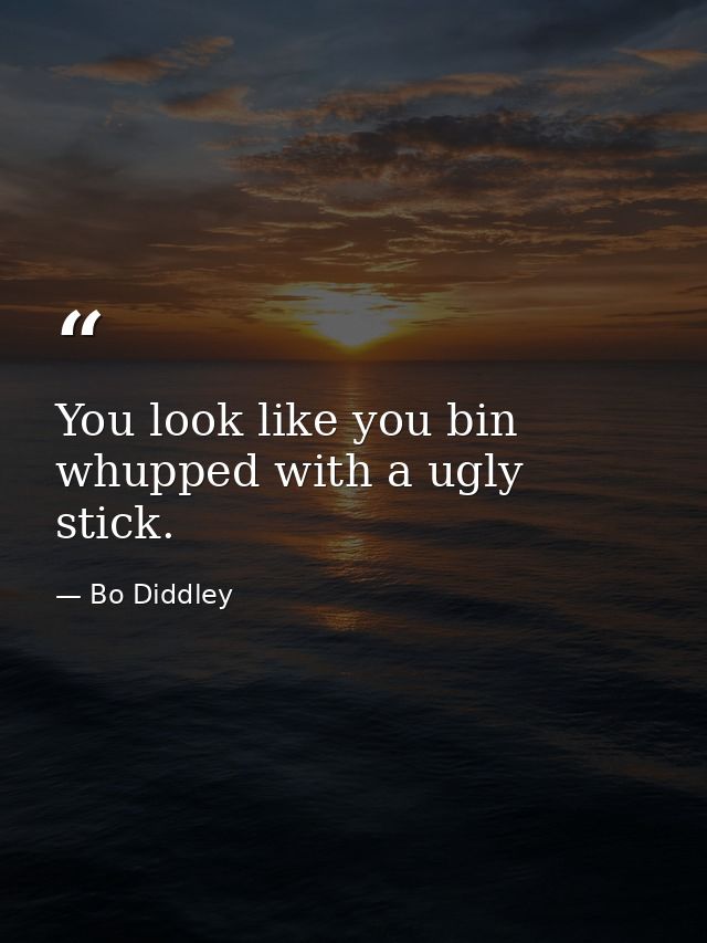 You look like you bin whupped with a ugly stick. — Bo Diddley