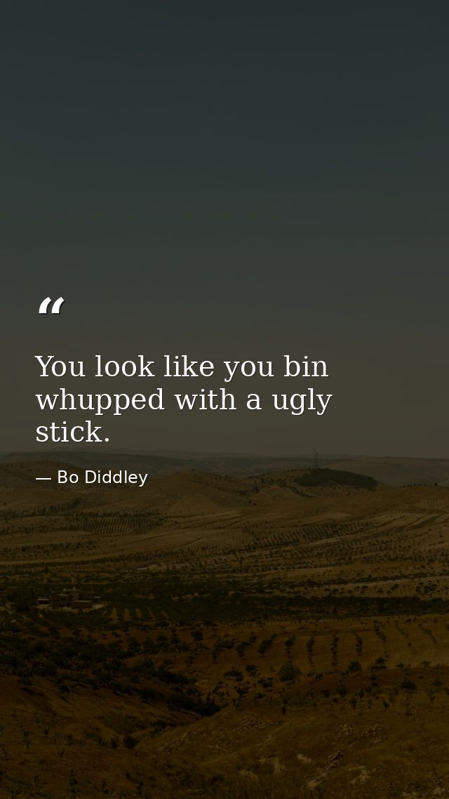 You look like you bin whupped with a ugly stick. — Bo Diddley