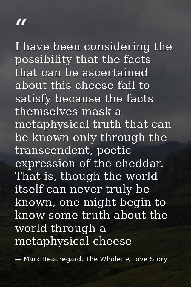 I have been considering the possibility that the facts that can be ascertained about this cheese fail to satisfy because — Mark Beauregard, The Whale: A Love Story