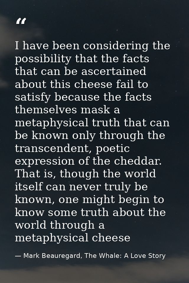 I have been considering the possibility that the facts that can be ascertained about this cheese fail to satisfy because — Mark Beauregard, The Whale: A Love Story