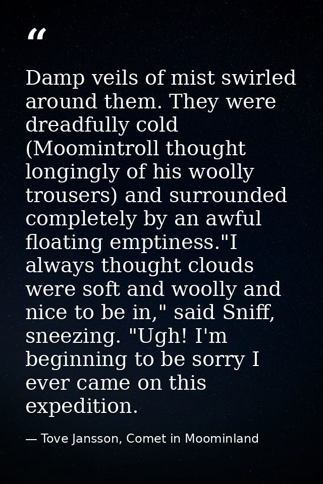 Damp veils of mist swirled around them. They were dreadfully cold (Moomintroll thought longingly of his woolly trousers) — Tove Jansson, Comet in Moominland