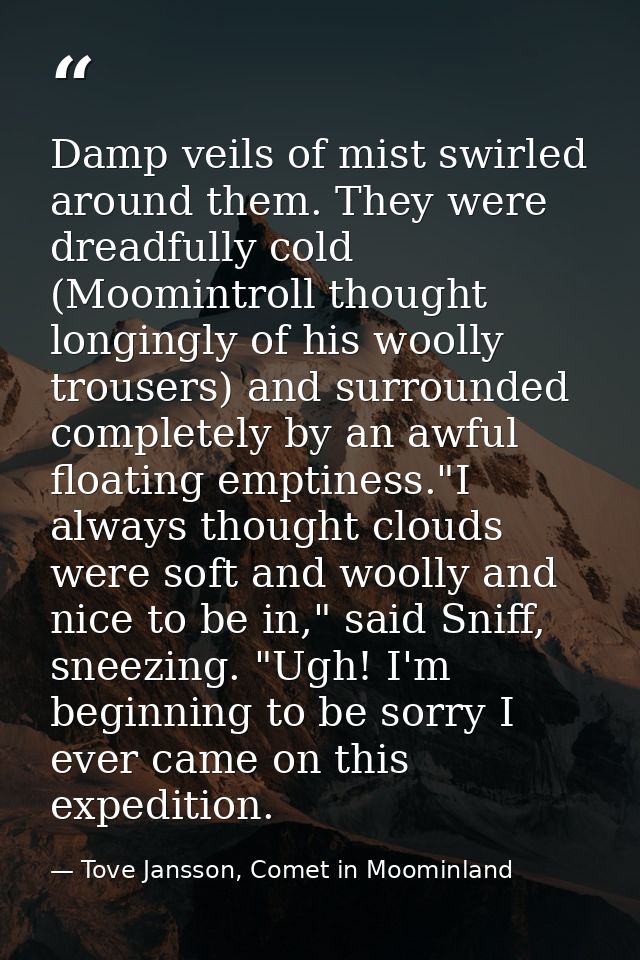 Damp veils of mist swirled around them. They were dreadfully cold (Moomintroll thought longingly of his woolly trousers) — Tove Jansson, Comet in Moominland