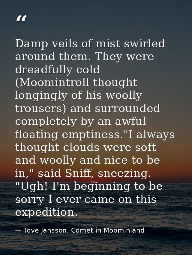Damp veils of mist swirled around them. They were dreadfully cold (Moomintroll thought longingly of his woolly trousers) — Tove Jansson, Comet in Moominland