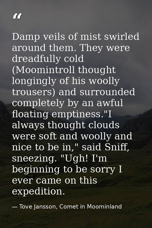 Damp veils of mist swirled around them. They were dreadfully cold (Moomintroll thought longingly of his woolly trousers) — Tove Jansson, Comet in Moominland