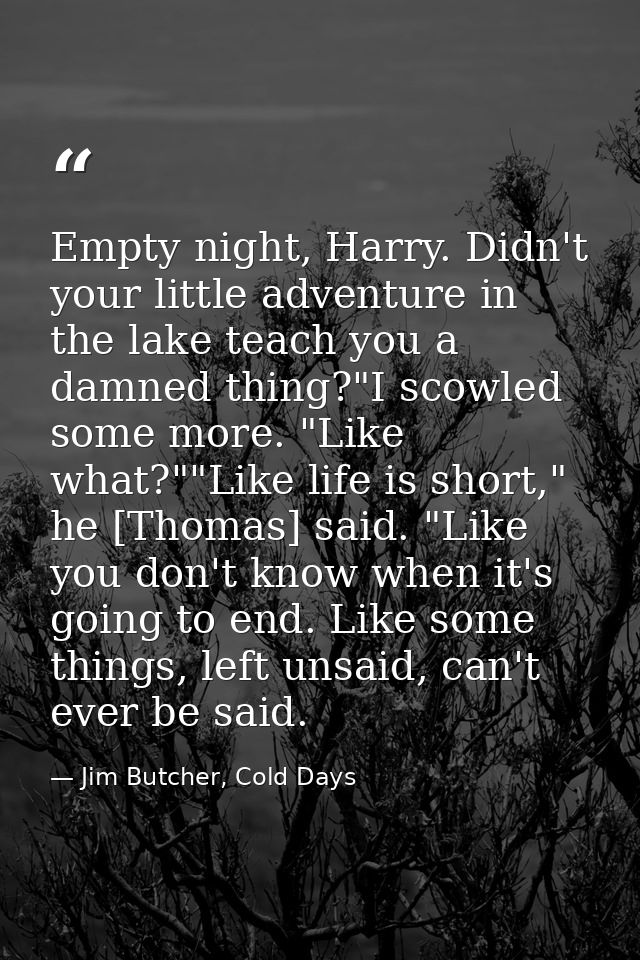 Empty night, Harry. Didn't your little adventure in the lake teach you a damned thing?"I scowled some more. "Like what?" — Jim Butcher, Cold Days