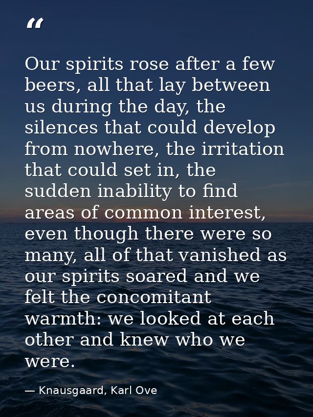 Our spirits rose after a few beers, all that lay between us during the day, the silences that could develop from nowhere — Knausgaard, Karl Ove