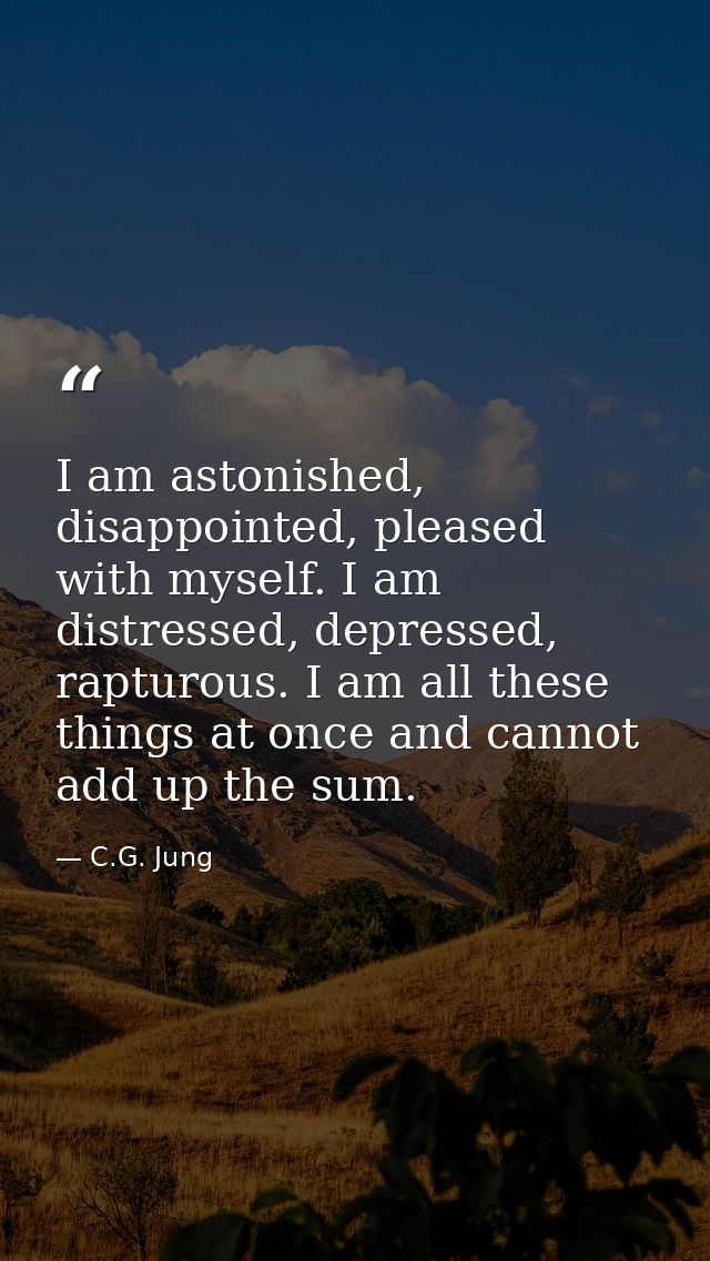 I am astonished, disappointed, pleased with myself. I am distressed, depressed, rapturous. I am all these things at once — C.G. Jung