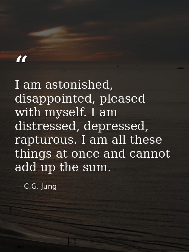 I am astonished, disappointed, pleased with myself. I am distressed, depressed, rapturous. I am all these things at once — C.G. Jung