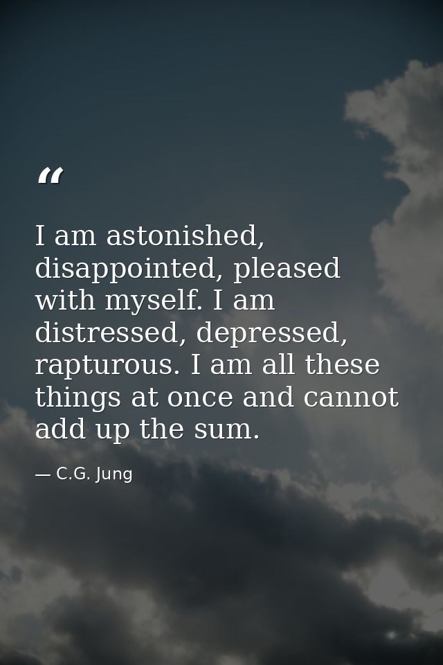 I am astonished, disappointed, pleased with myself. I am distressed, depressed, rapturous. I am all these things at once — C.G. Jung
