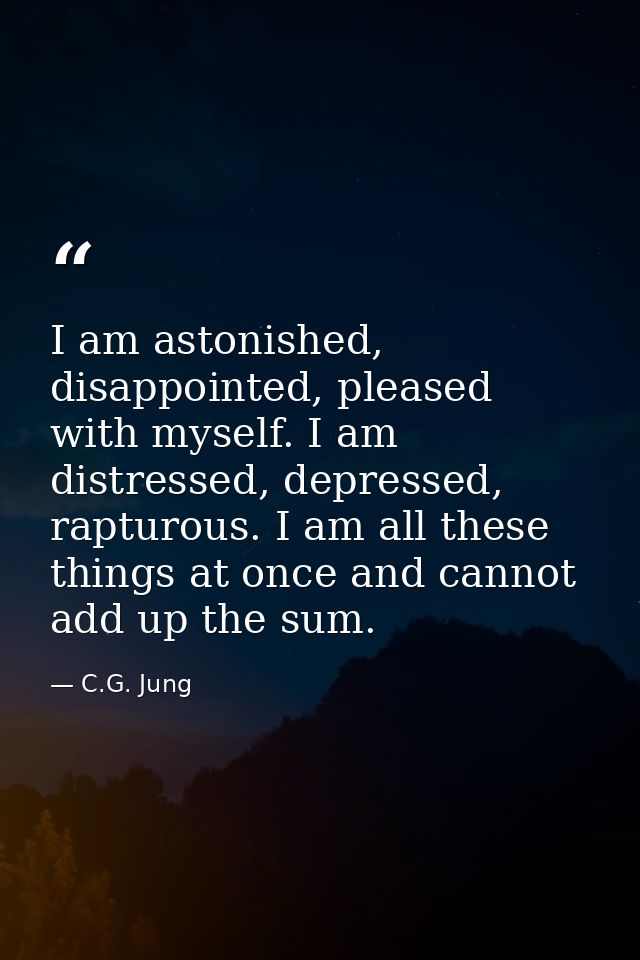 I am astonished, disappointed, pleased with myself. I am distressed, depressed, rapturous. I am all these things at once — C.G. Jung