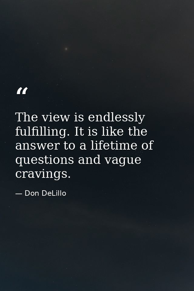 The view is endlessly fulfilling. It is like the answer to a lifetime of questions and vague cravings. — Don DeLillo