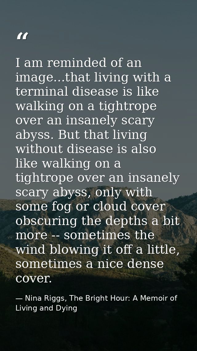 I am reminded of an image...that living with a terminal disease is like walking on a tightrope over an insanely scary ab — Nina Riggs, The Bright Hour: A Memoir of Living and Dying