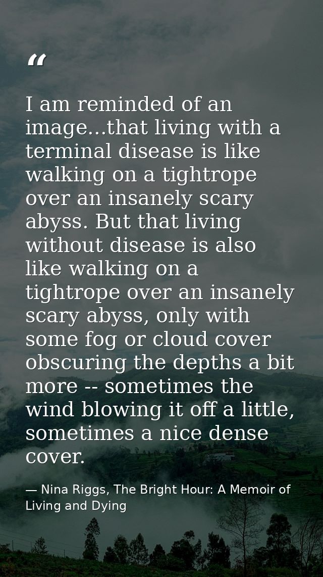 I am reminded of an image...that living with a terminal disease is like walking on a tightrope over an insanely scary ab — Nina Riggs, The Bright Hour: A Memoir of Living and Dying