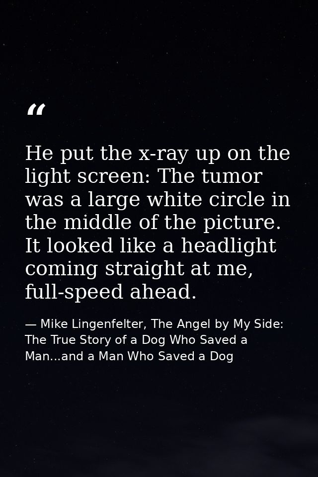 He put the x-ray up on the light screen: The tumor was a large white circle in the middle of the picture. It looked like — Mike Lingenfelter, The Angel by My Side: The True Story of a Dog Who Saved a Man...and a Man Who Saved a Dog
