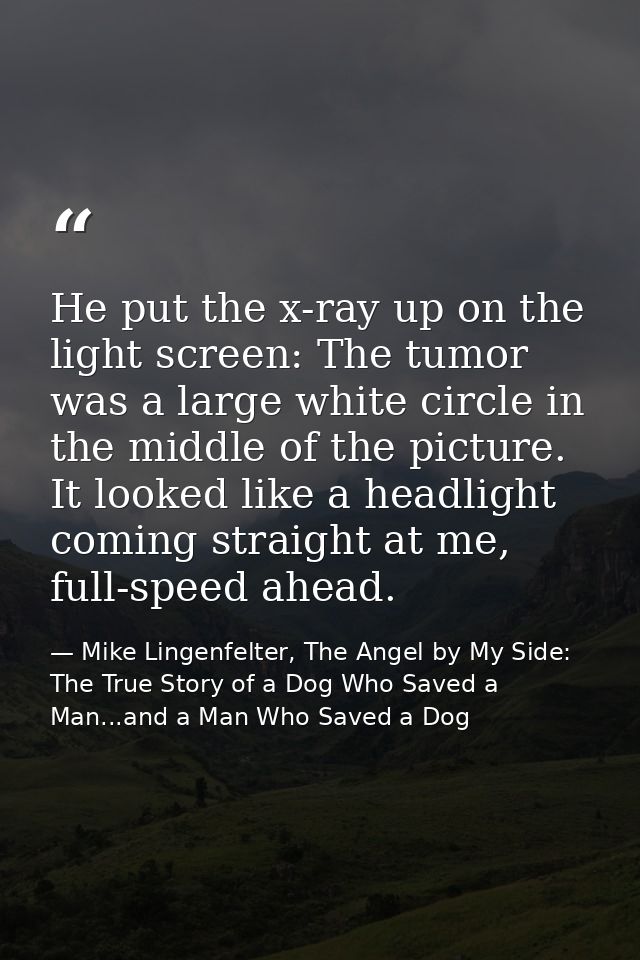 He put the x-ray up on the light screen: The tumor was a large white circle in the middle of the picture. It looked like — Mike Lingenfelter, The Angel by My Side: The True Story of a Dog Who Saved a Man...and a Man Who Saved a Dog