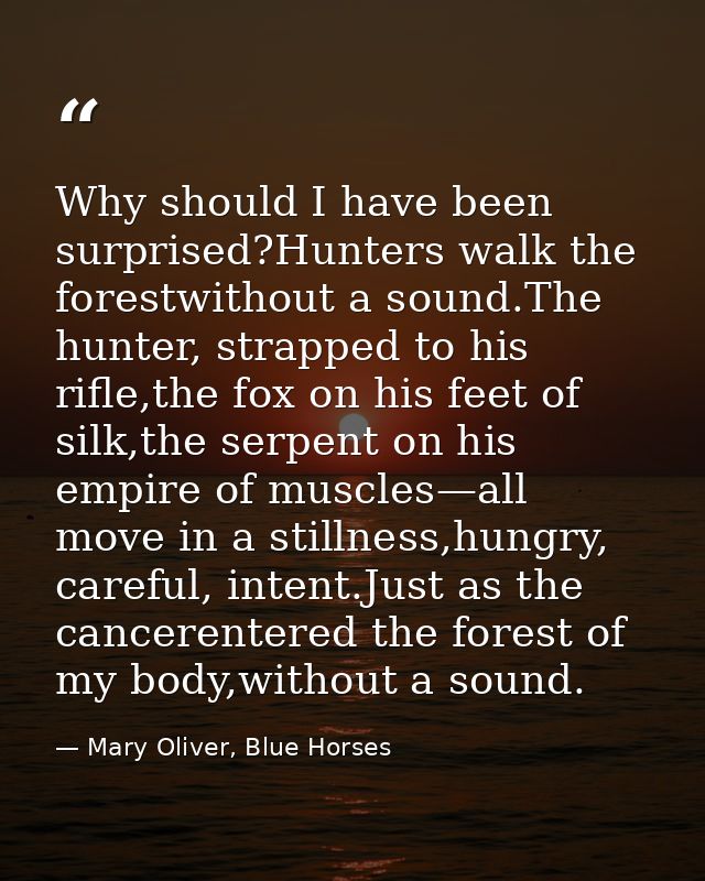 Why should I have been surprised?Hunters walk the forestwithout a sound.The hunter, strapped to his rifle,the fox on his — Mary Oliver, Blue Horses