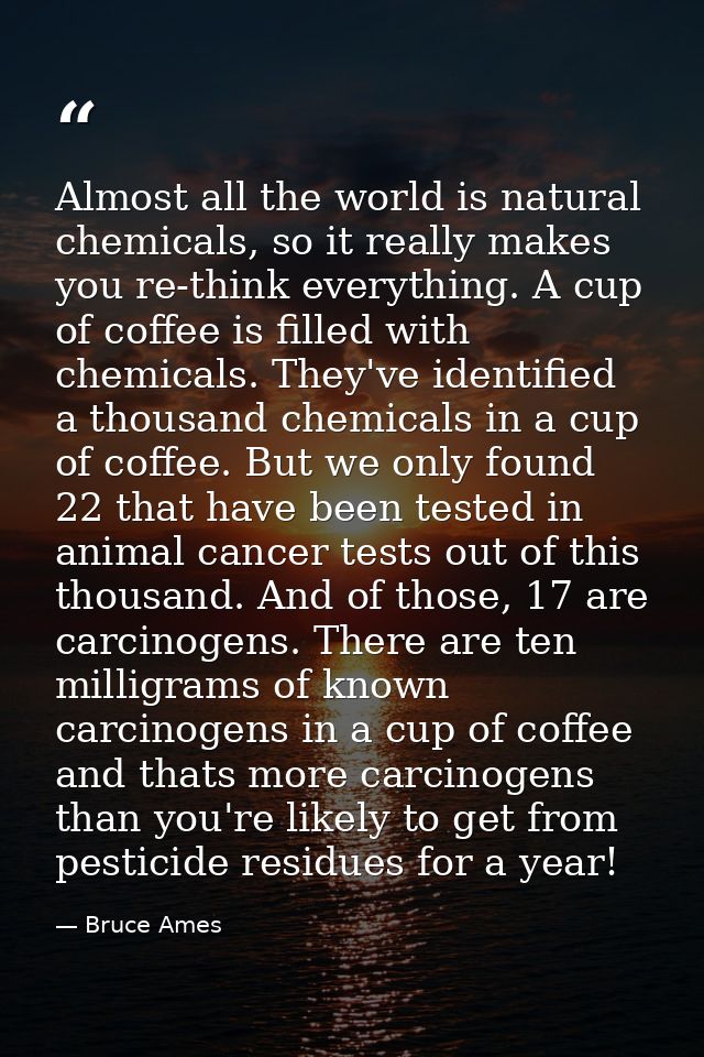 Almost all the world is natural chemicals, so it really makes you re-think everything. A cup of coffee is filled with ch — Bruce Ames