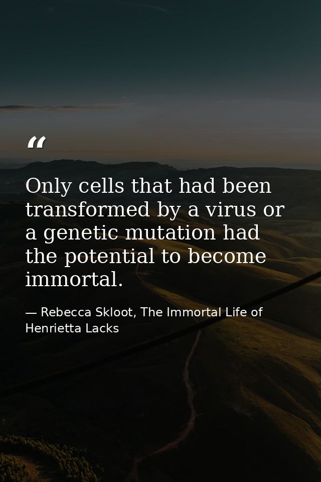 Only cells that had been transformed by a virus or a genetic mutation had the potential to become immortal. — Rebecca Skloot, The Immortal Life of Henrietta Lacks