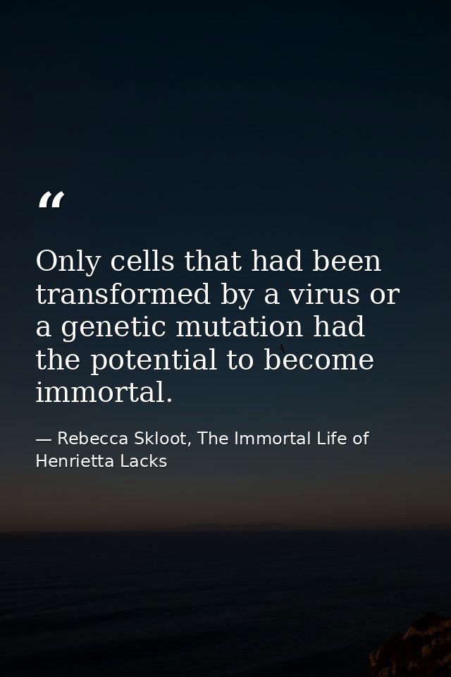 Only cells that had been transformed by a virus or a genetic mutation had the potential to become immortal. — Rebecca Skloot, The Immortal Life of Henrietta Lacks