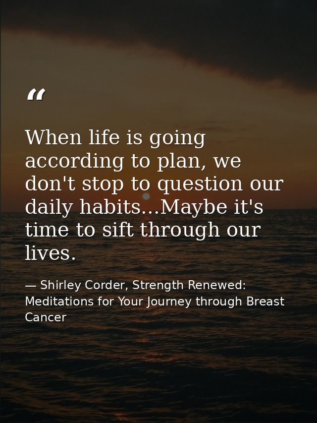 When life is going according to plan, we don't stop to question our daily habits...Maybe it's time to sift through our l — Shirley Corder, Strength Renewed: Meditations for Your Journey through Breast Cancer
