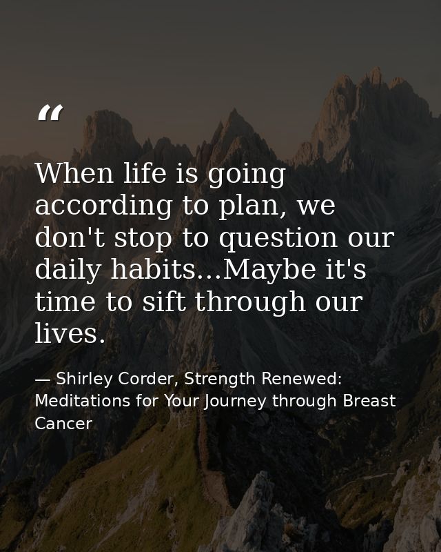 When life is going according to plan, we don't stop to question our daily habits...Maybe it's time to sift through our l — Shirley Corder, Strength Renewed: Meditations for Your Journey through Breast Cancer