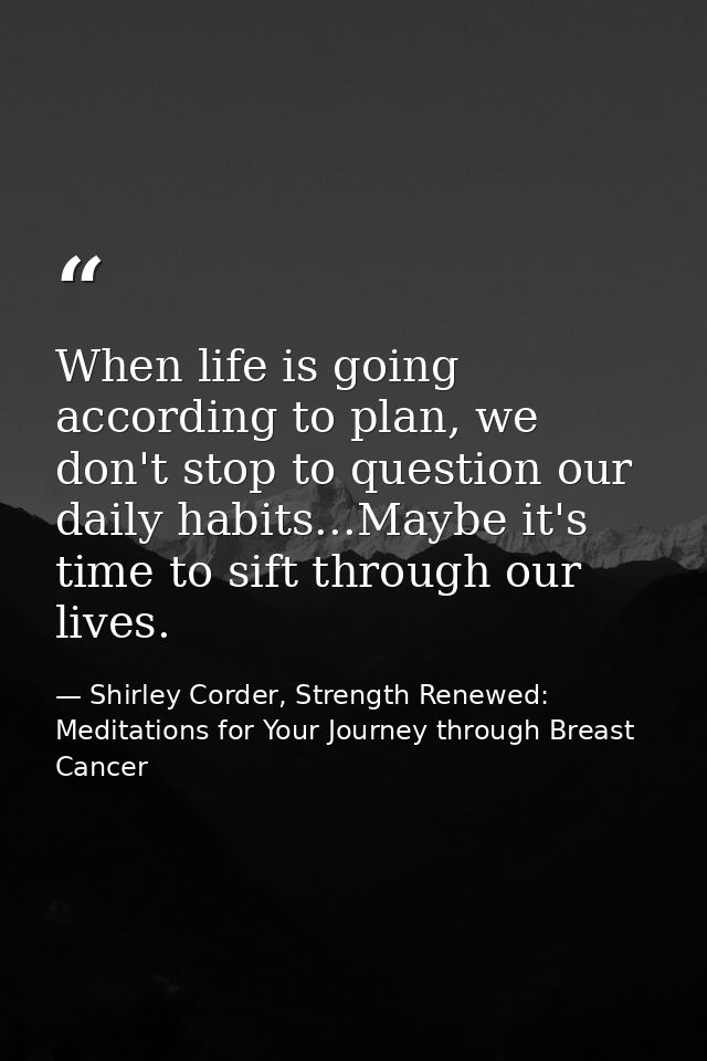 When life is going according to plan, we don't stop to question our daily habits...Maybe it's time to sift through our l — Shirley Corder, Strength Renewed: Meditations for Your Journey through Breast Cancer