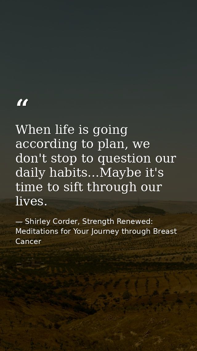 When life is going according to plan, we don't stop to question our daily habits...Maybe it's time to sift through our l — Shirley Corder, Strength Renewed: Meditations for Your Journey through Breast Cancer