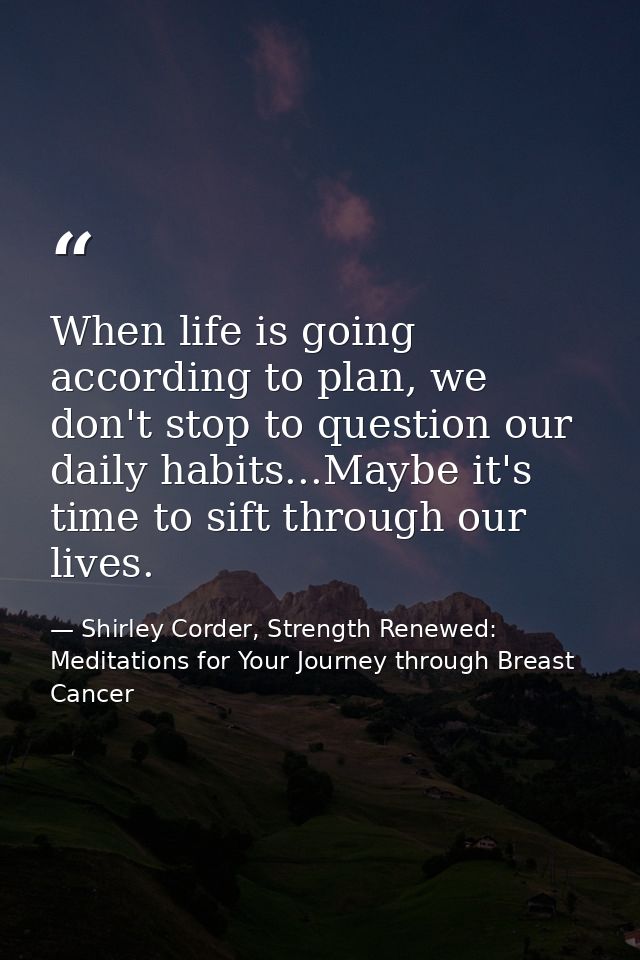 When life is going according to plan, we don't stop to question our daily habits...Maybe it's time to sift through our l — Shirley Corder, Strength Renewed: Meditations for Your Journey through Breast Cancer