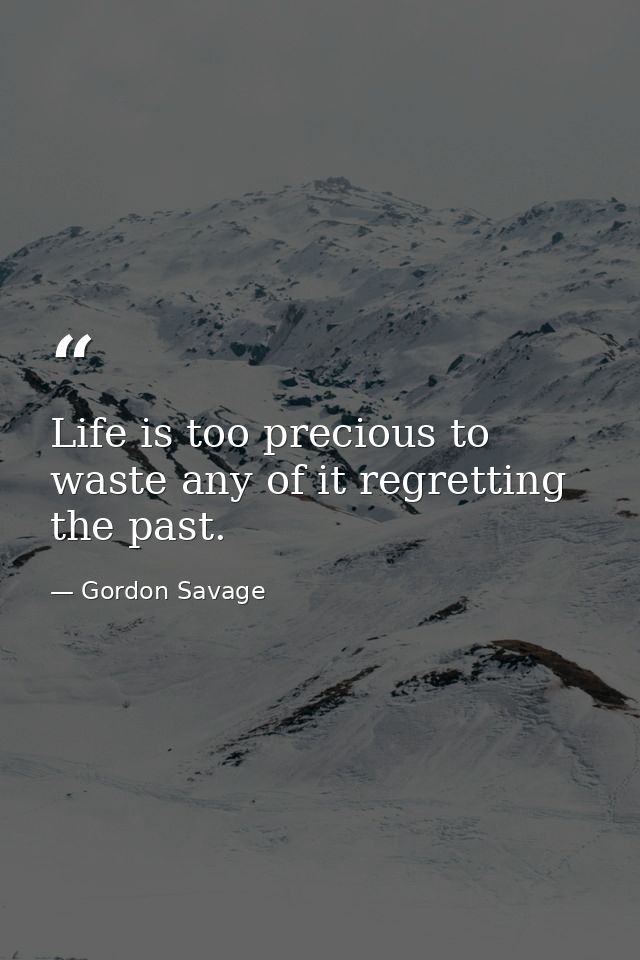 Life is too precious to waste any of it regretting the past. — Gordon Savage
