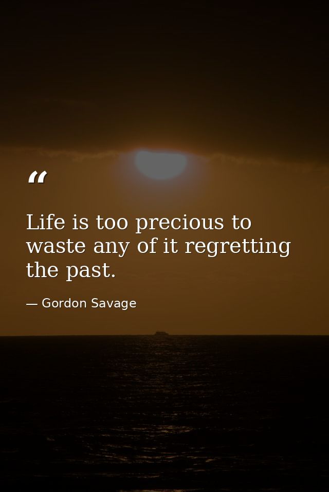 Life is too precious to waste any of it regretting the past. — Gordon Savage