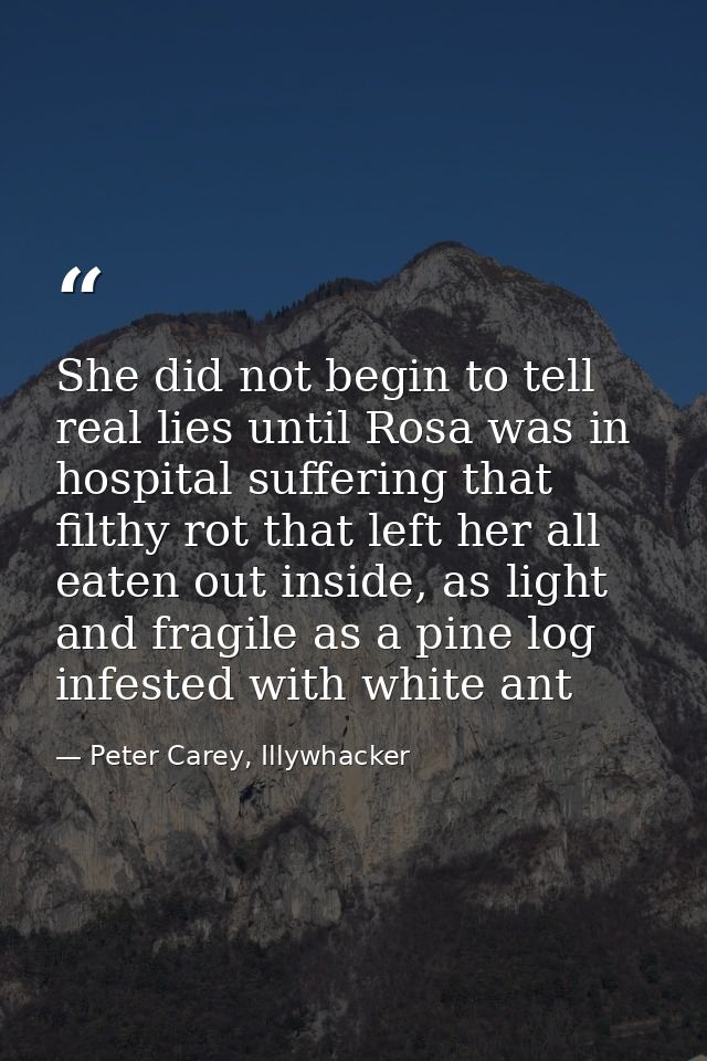 She did not begin to tell real lies until Rosa was in hospital suffering that filthy rot that left her all eaten out ins — Peter Carey, Illywhacker