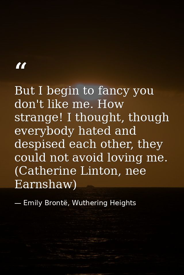 But I begin to fancy you don't like me. How strange! I thought, though everybody hated and despised each other, they cou — Emily Brontë, Wuthering Heights