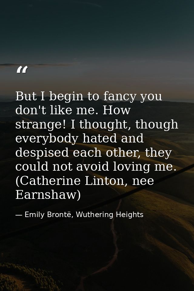 But I begin to fancy you don't like me. How strange! I thought, though everybody hated and despised each other, they cou — Emily Brontë, Wuthering Heights