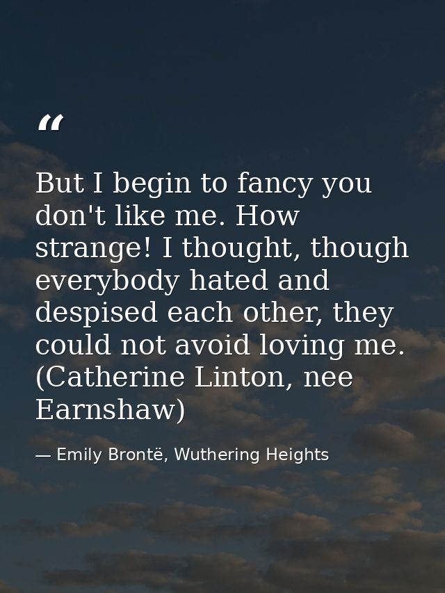 But I begin to fancy you don't like me. How strange! I thought, though everybody hated and despised each other, they cou — Emily Brontë, Wuthering Heights