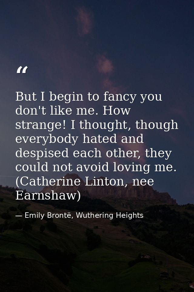 But I begin to fancy you don't like me. How strange! I thought, though everybody hated and despised each other, they cou — Emily Brontë, Wuthering Heights