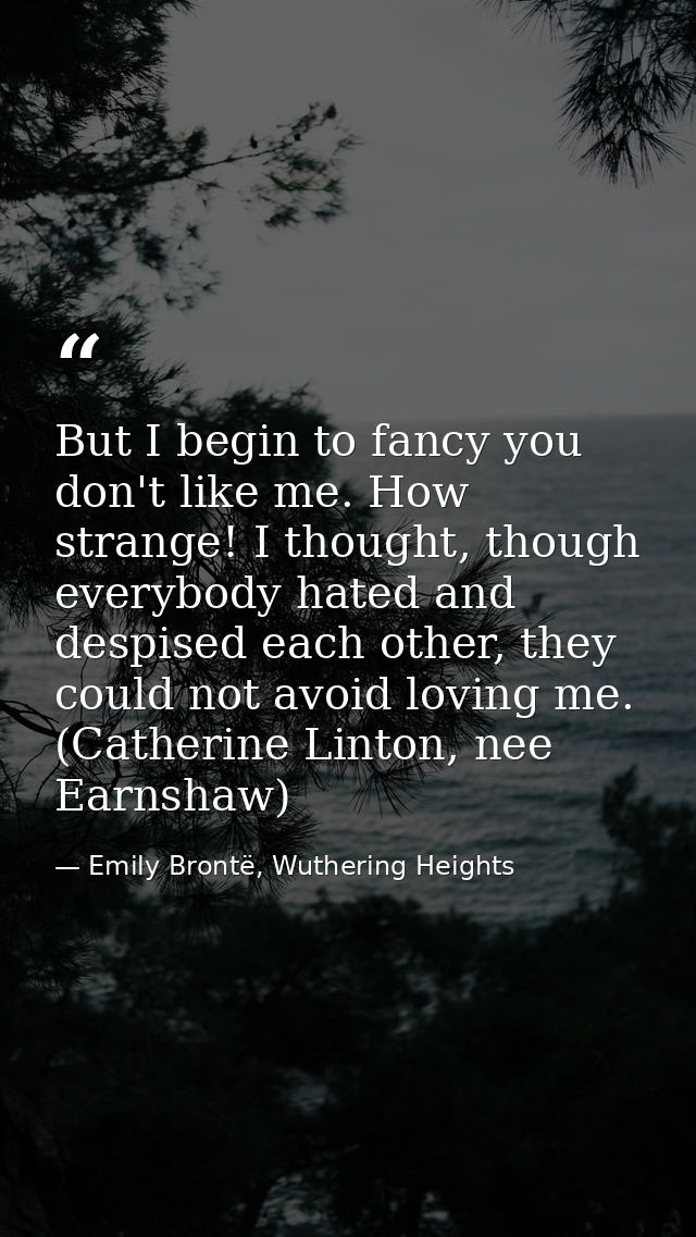 But I begin to fancy you don't like me. How strange! I thought, though everybody hated and despised each other, they cou — Emily Brontë, Wuthering Heights